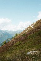 Austrian mountains with flowering heather with nostalgic vibes