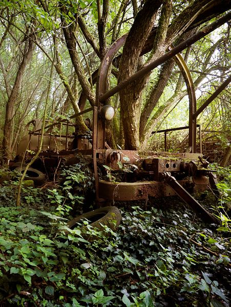 Perdu dans les bois (Urbain) par Helga fotosvanhelga