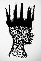 Fragmented Crown: A Study in Contrast