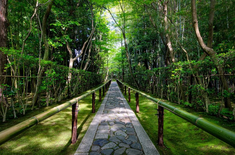 Temple de bambou au Japon par Michael Bollen