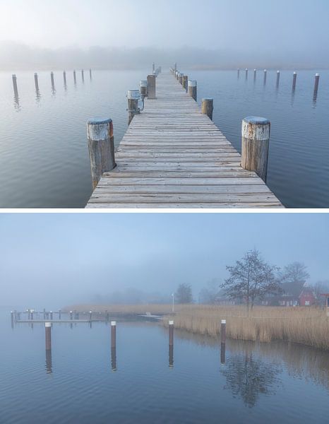 Dreams of the sea: fog in the harbor of Prerow by Christian Müringer