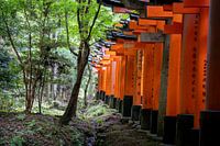 Temple gates in nature