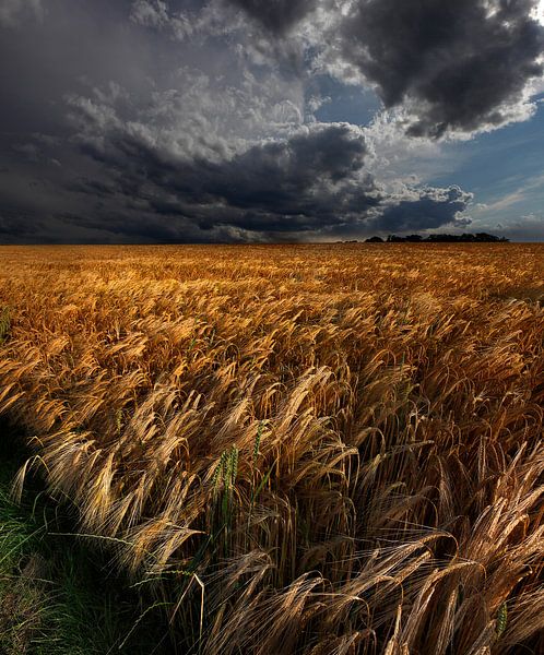 Strohgaeu by Nicolas Schumacher