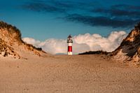 The lighthouse of ameland in the dunes