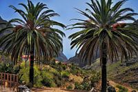 De Masca kloof in Tenerife