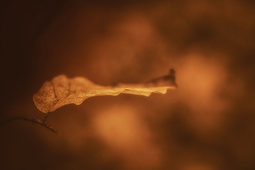 Autumn and spring by Anneliese Grünwald-Märkl