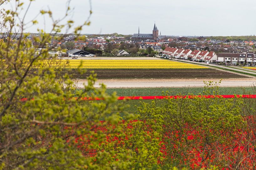 Blick auf das Blumenfeld und Noordwijk-Binnen von Yanuschka | Fotografie Noordwijk