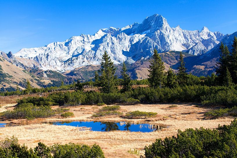 The Dachstein mountains and the Gosaukamm by Christa Kramer