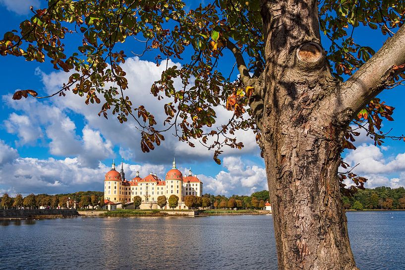Blick auf das Schloss Moritzburg in Sachsen von Rico Ködder