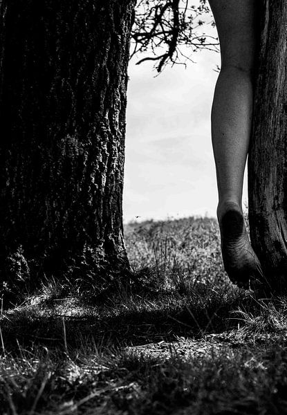 Die Füße auf der Heide von Crystal Clear