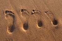 Van groot naar Klein