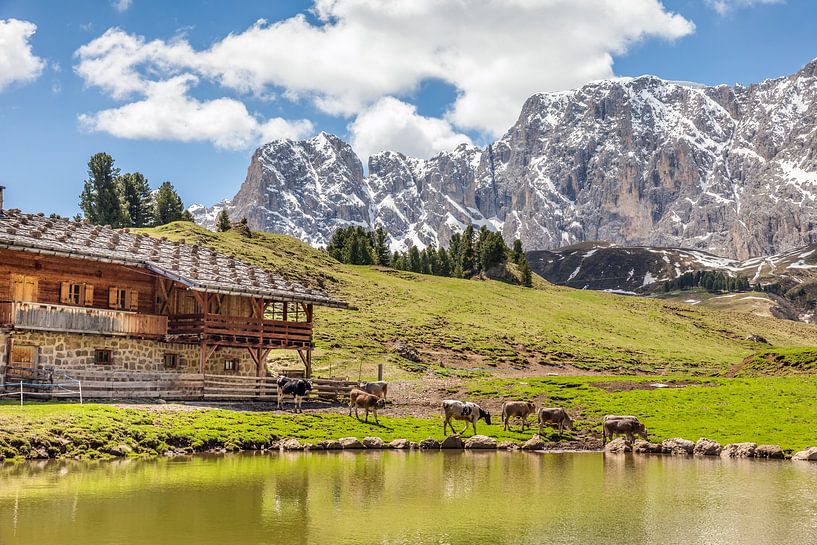 The Mahlknechthütte on the Seiser Alm, South Tyrol by Christian Müringer