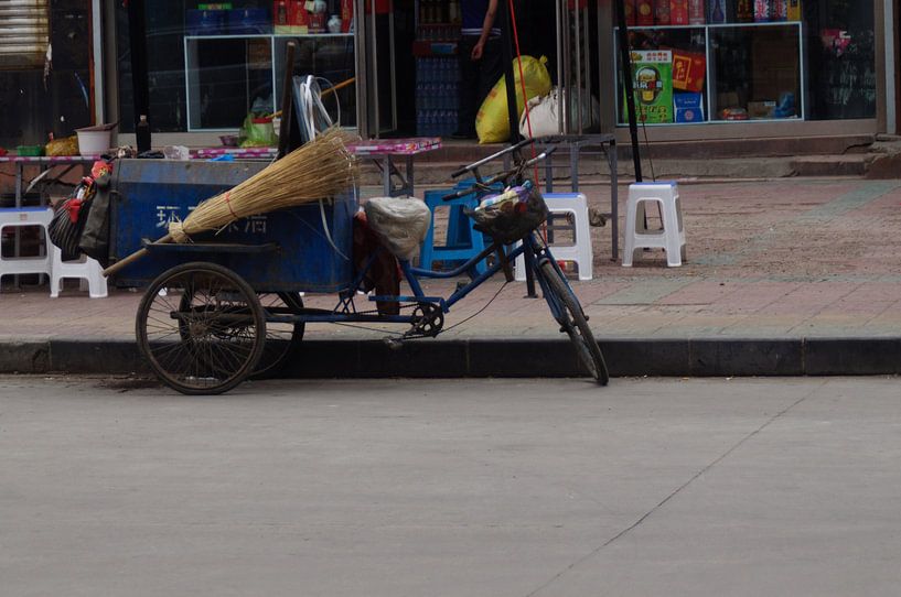 veegbrommer von Robert Lotman