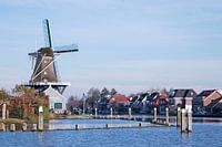 Die Salamandermühle