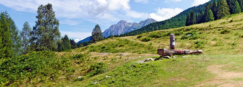 L'alpage de Steinecken par Leopold Brix