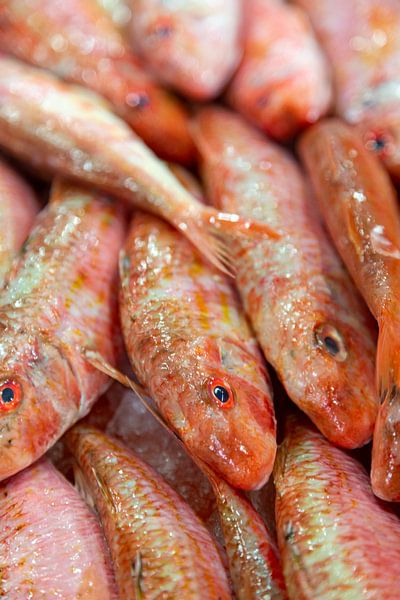 Poisson frais par Dirk Rüter