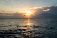 Zonsondergang met surfers in het water en een vogel in de lucht van Bali Nusa Lembongan, Indonesie