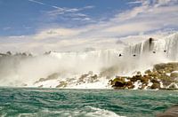 birds at the Canadian Niagara Falls
