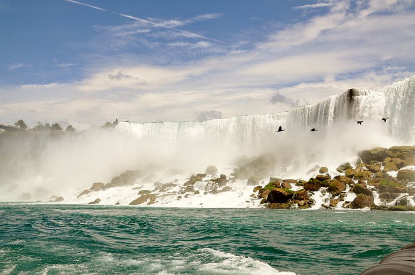 birds at the Canadian Niagara Falls by Lucie Lindeman
