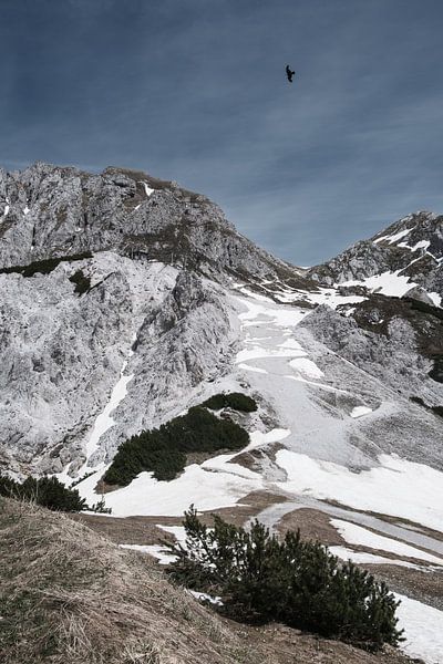 Alpes autrichiennes enneigées au début du printemps par RAW & Refined