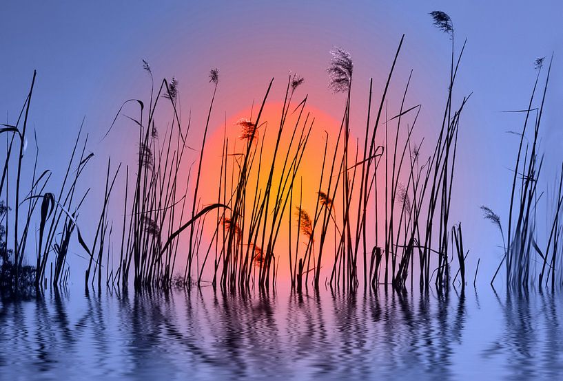 Coucher de soleil par Violetta Honkisz