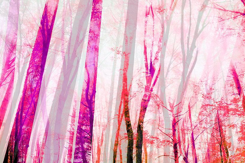 Forêt d'été par FRESH Fine Art