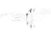 Lumière, lignes et formes gracieuses