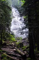 Bridal veil falls