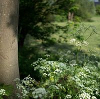 Flowering herbal flute