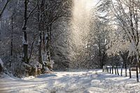 Winterlandschaft