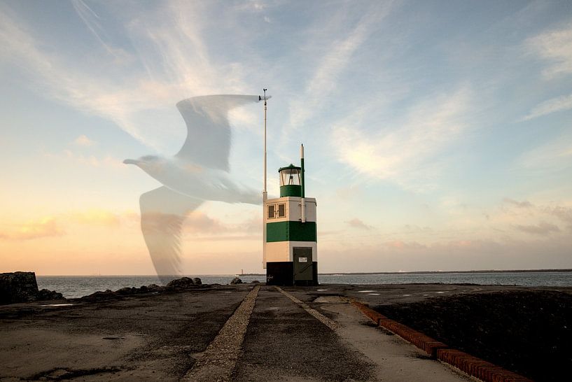 La jetée d'IJmuiden au coucher du soleil par Zaankanteropavontuur