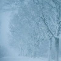 Photo abstraite avec des arbres dans une tempête de neige