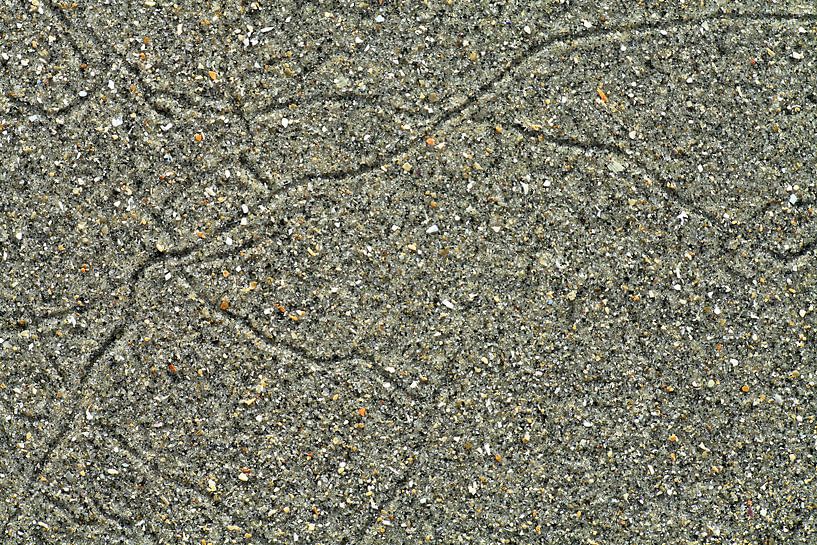 Studie: De Kaloot, Borssele - Zeeland von Patrice Domenique Troost