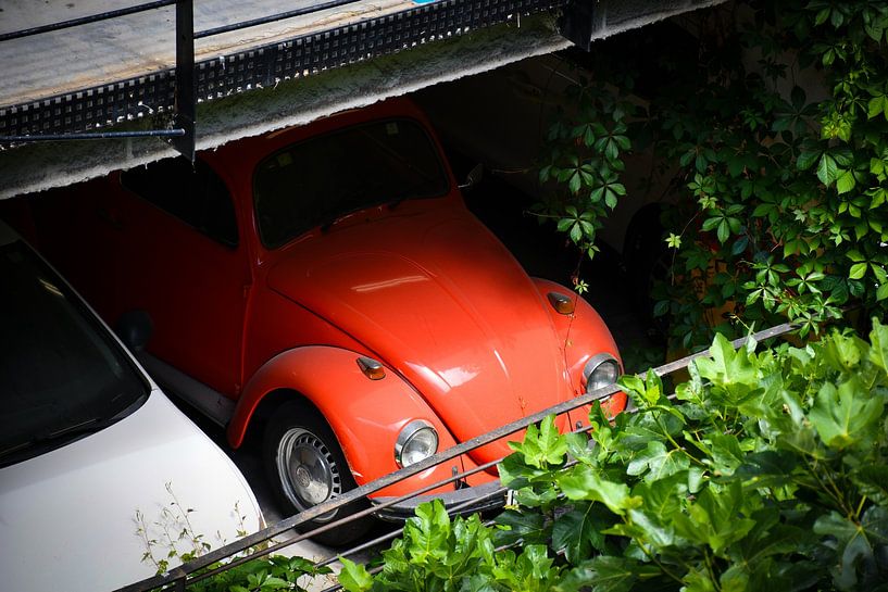 Versteckter Klassiker, Roter Käfer im Großstadtdschungel von Bas Potman