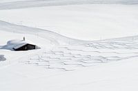 Fresh tracks in the snow