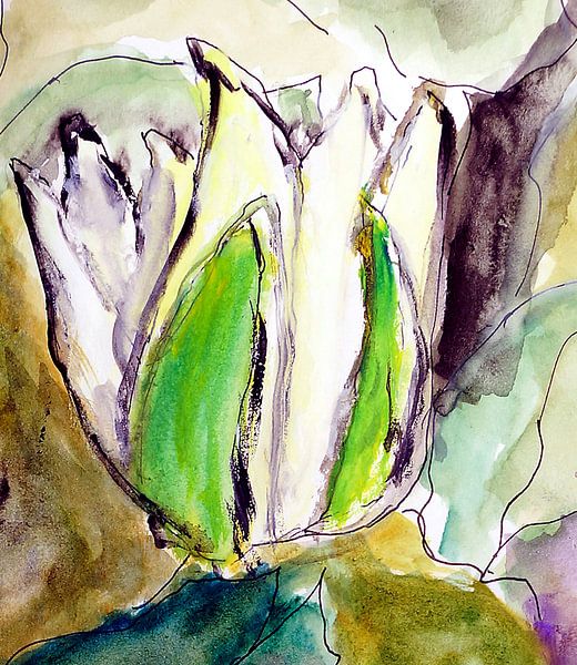 Teichrose von Kay Weber