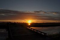 polder de la gloire du matin