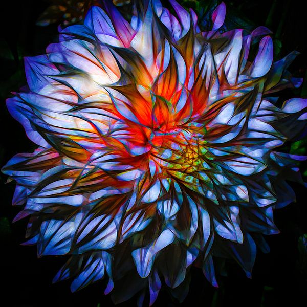 Dahlia, blau von Rietje Bulthuis