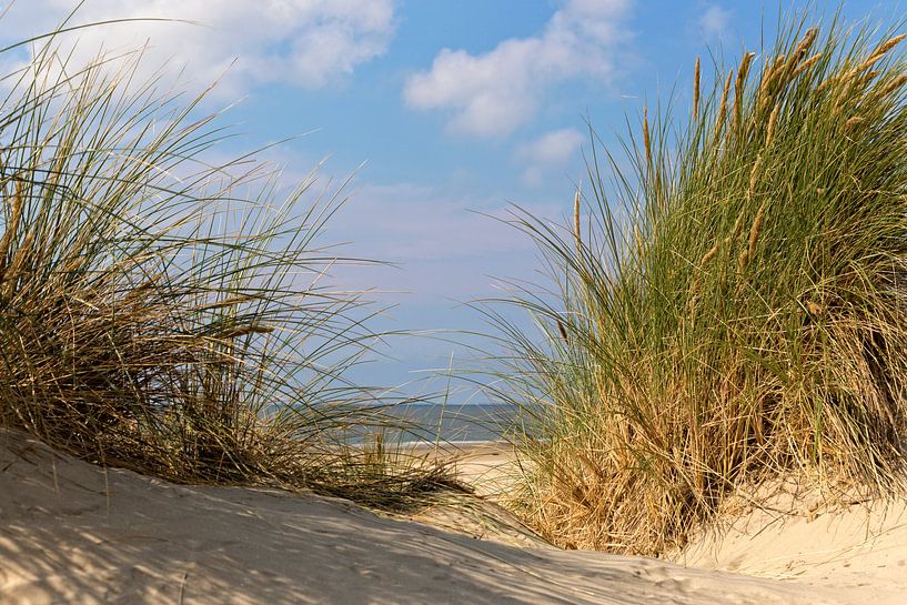 Sommertag .. von Miranda van Hulst