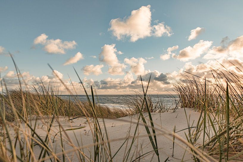 Uitzicht door de duinen van Annett Mirsberger