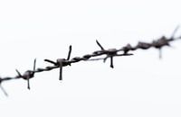 Fil de fer barbelé