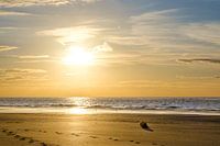 Coucher de soleil à Koksijde