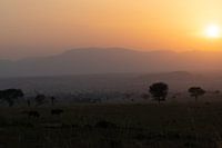 Frontières de la lumière - L'ombre du Sud-Soudan