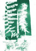 Dans les bois abstraits