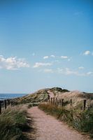 Dune path in Zeeland