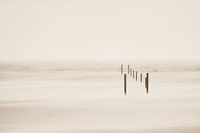 A minimalist sea view in sepia