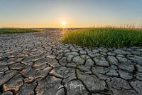 Die friesische Wattenküste