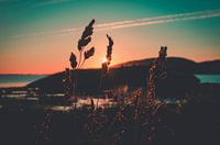 zonsopkomst boven de poolcirkel