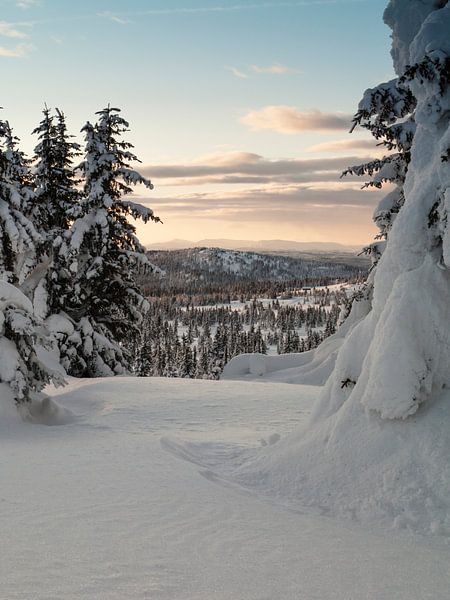 Doorkijk von David Hanlon