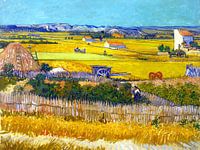 Ernte in La Crau - Vincent van Gogh - 1888
